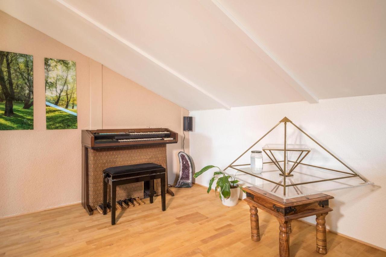 Luxurioeses Penthouse-Appartement Höchst Екстериор снимка